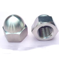 Cap Nut Manufacturers