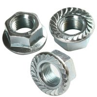 Hex Flange Nuts