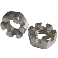 Hex Slotted Nuts