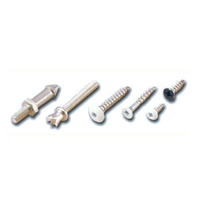 Stainless Steel Screws Manufacturer, SS Screws Supplier